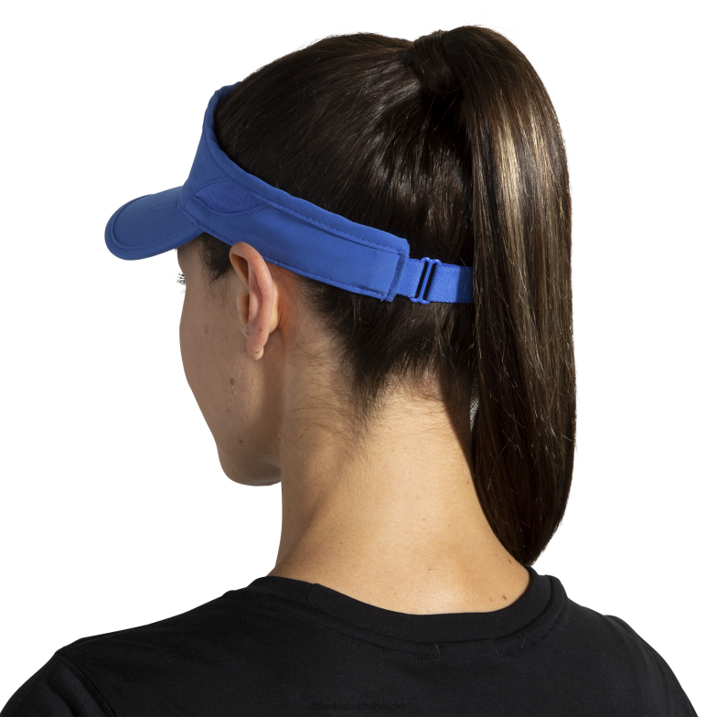 V8D8N1354 jager vizier blauwachtig Brooks