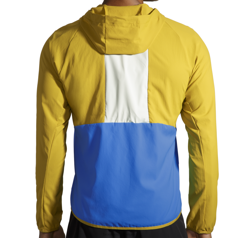 V8D8N1081 luifel jas gouden Brooks