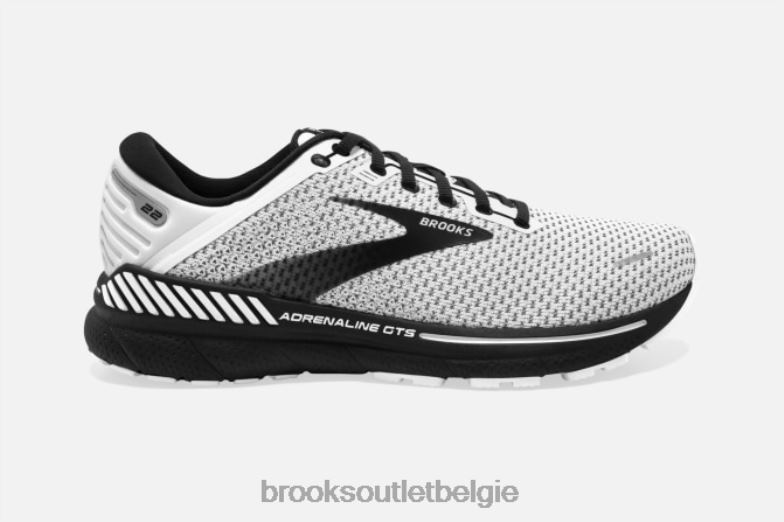 V8D8N1764 adrenaline gts 22 wit Brooks
