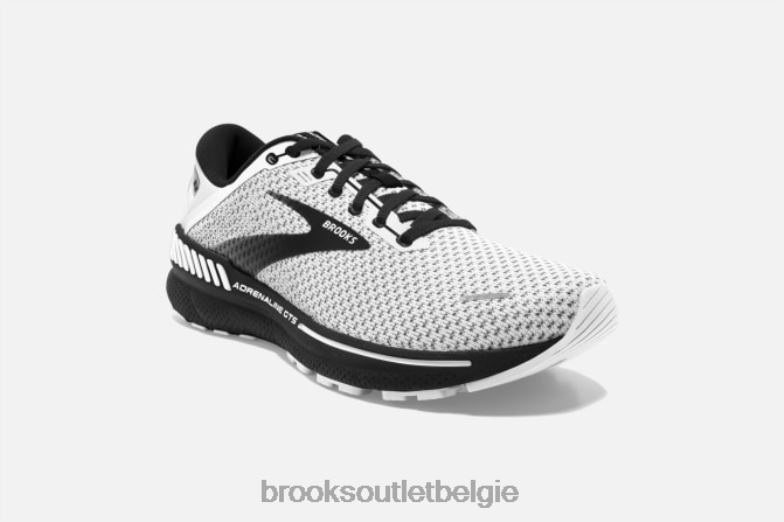 V8D8N1764 adrenaline gts 22 wit Brooks