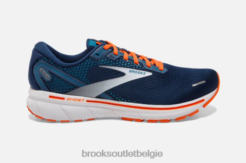 V8D8N1772 geest 14 wintertaling Brooks