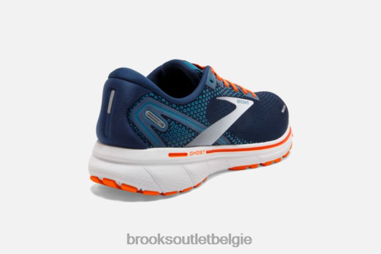 V8D8N1772 geest 14 wintertaling Brooks