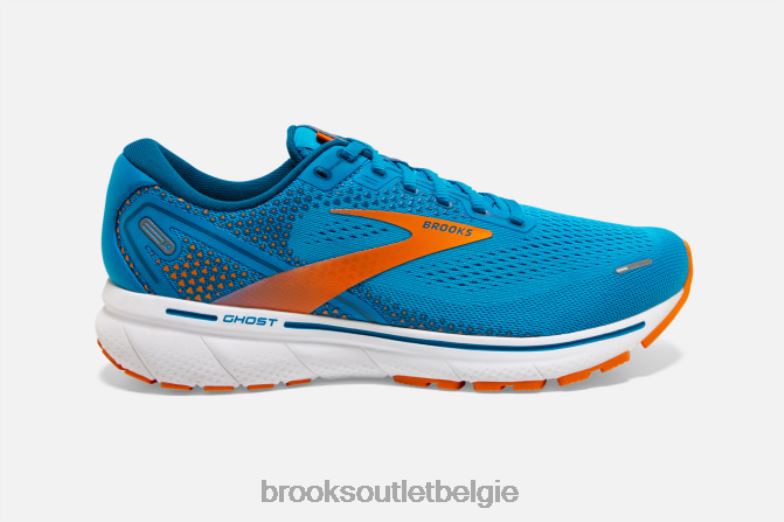 V8D8N1777 geest 14 blauw Brooks