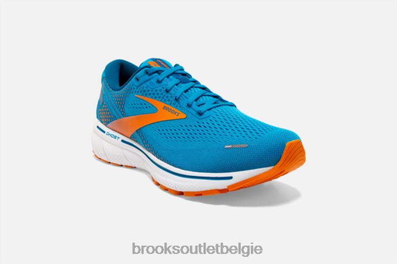 V8D8N1777 geest 14 blauw Brooks