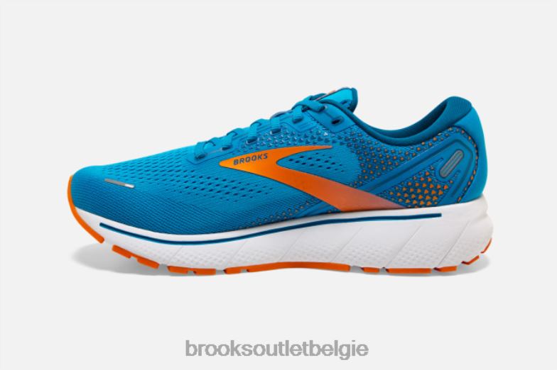 V8D8N1777 geest 14 blauw Brooks
