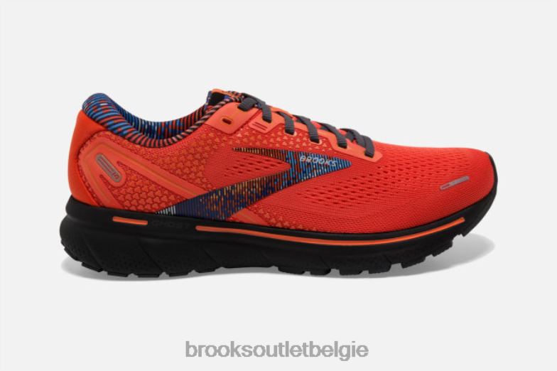 V8D8N1798 geest 14 kers Brooks