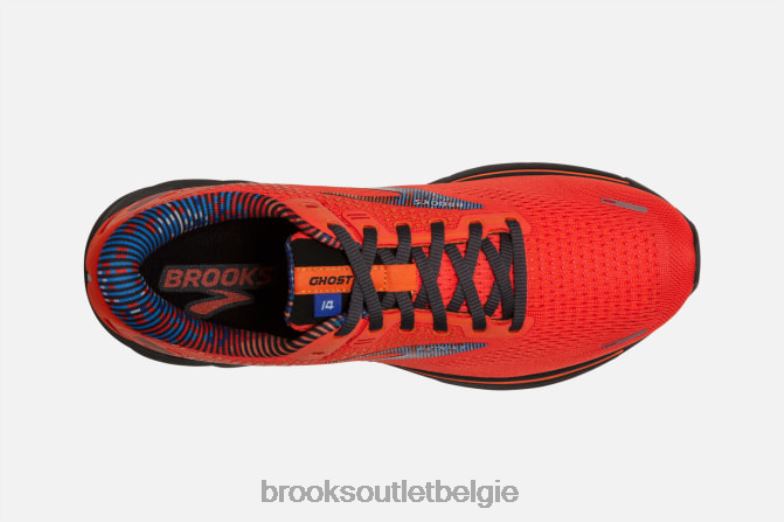 V8D8N1798 geest 14 kers Brooks