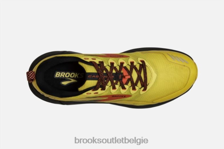 V8D8N1873 cascade 16 geel Brooks