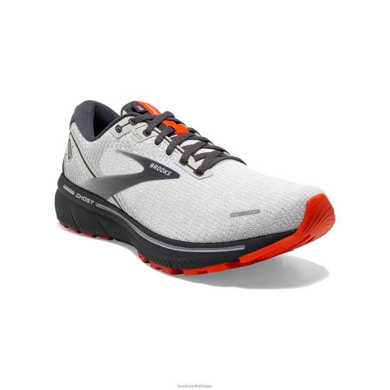 V8D8N32 geest 14 oester Brooks