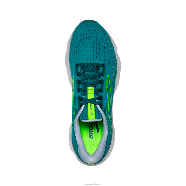 V8D8N842 glycerine 20 groente Brooks