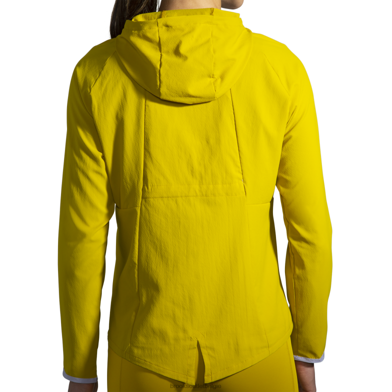 V8D8N1074 luifel jas gouden Brooks