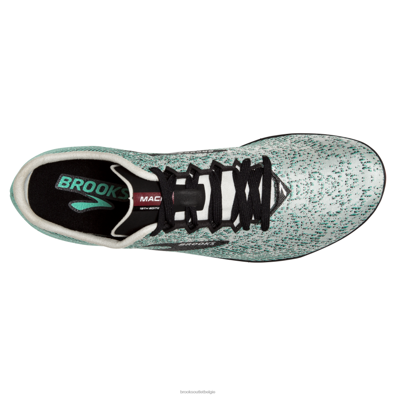 V8D8N289 Mach 19 grijs Brooks