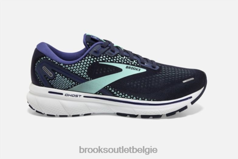 V8D8N1425 geest 14 marine Brooks