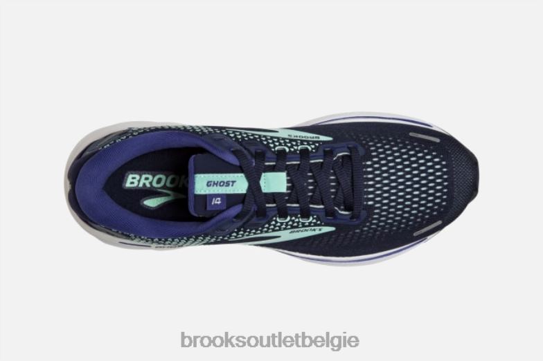 V8D8N1425 geest 14 marine Brooks