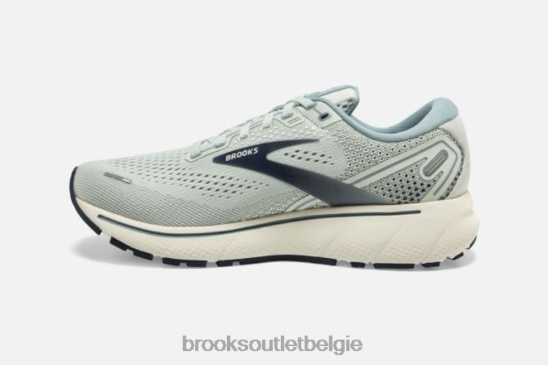 V8D8N1427 geest 14 marine Brooks