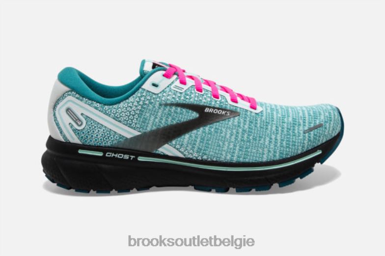 V8D8N1446 geest 14 wit Brooks