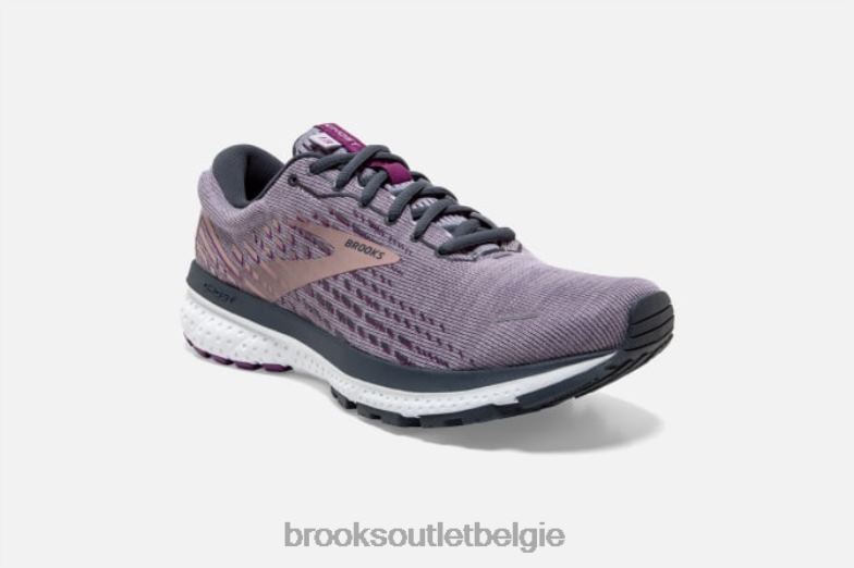 V8D8N1596 geest 13 metalen Brooks