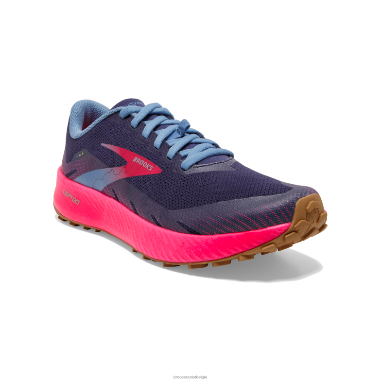 V8D8N73 hoeveelheid oester Brooks