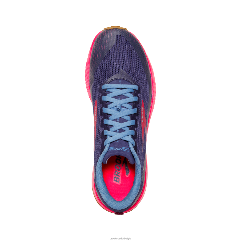 V8D8N73 hoeveelheid oester Brooks