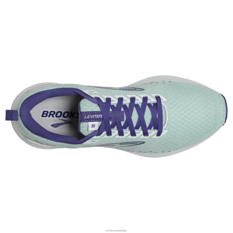 V8D8N1010 levitatie gts 5 blauw Brooks