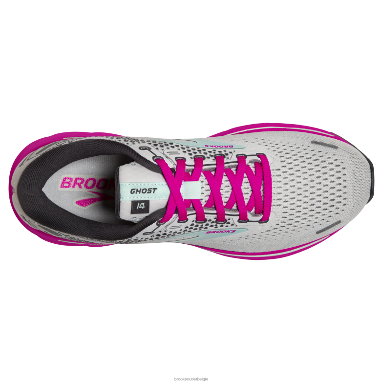 V8D8N31 geest 14 oester Brooks