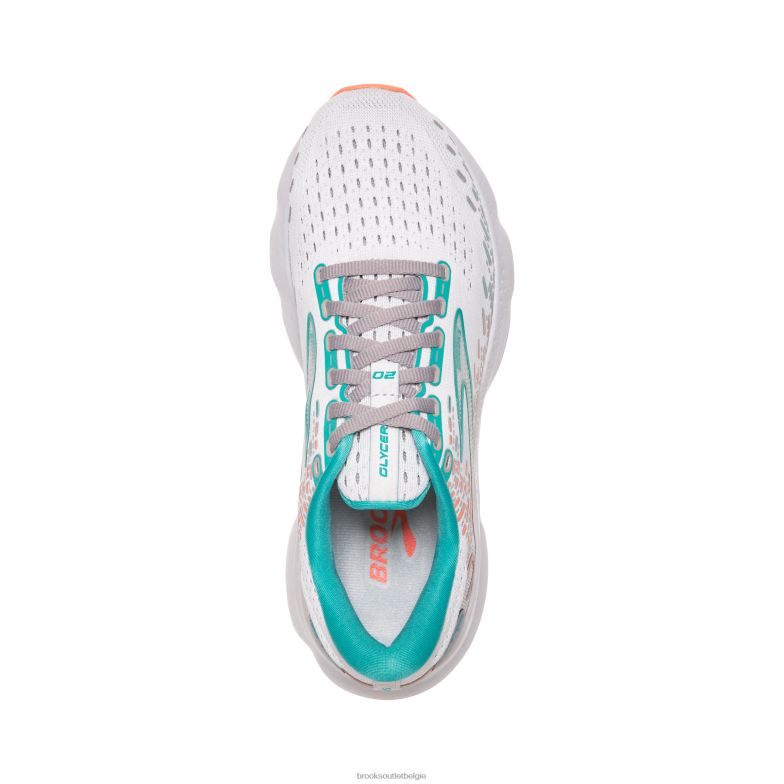 V8D8N4 glycerine 20 oester Brooks