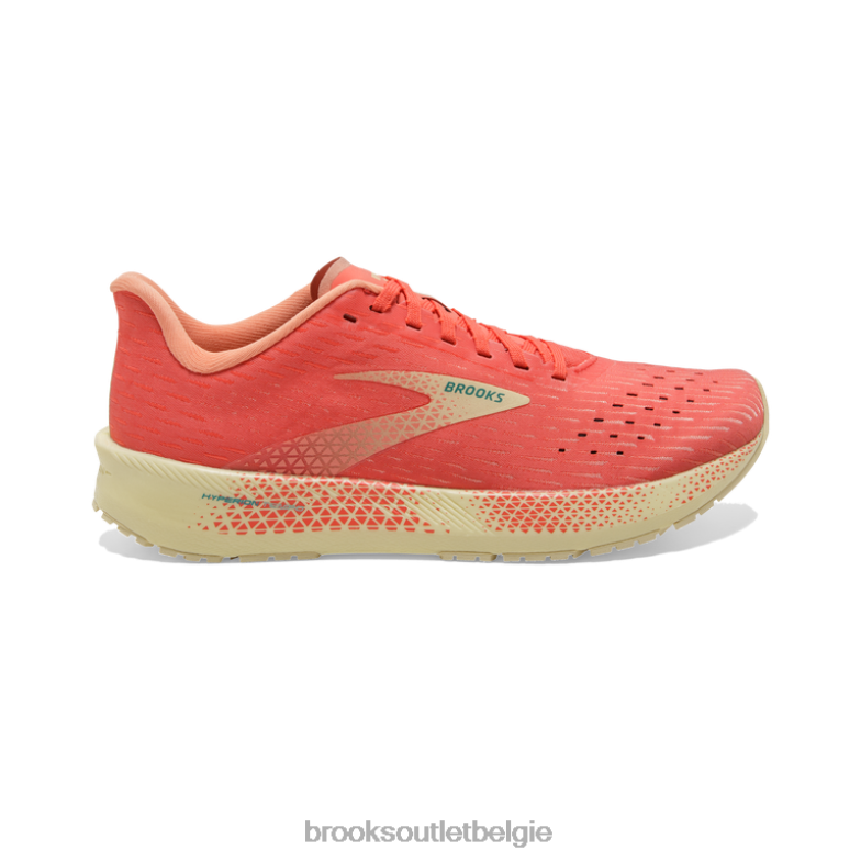 V8D8N885 hyperion-tempo koraal Brooks